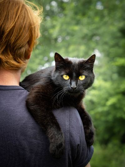 Fotografering på sommaren (fotograf Hillevi Upmanis) Foto av en ryggen på en rödhårig pojke som på axeln har en svart katt som med gula ögon stirrar rakt in i kameran (fotograf Hillevi Upmanis)